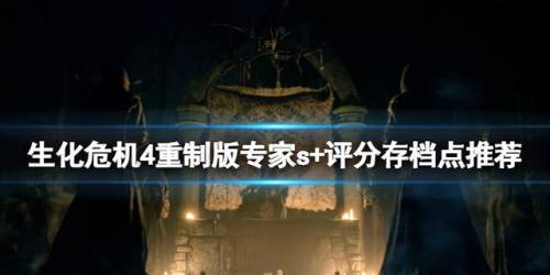 生化危机6存档损坏(生化6PC版无法建立存档)插图