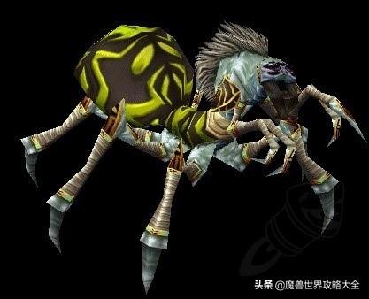 祖尔格拉布有几个任务(祖格有什么任务可以做)插图8