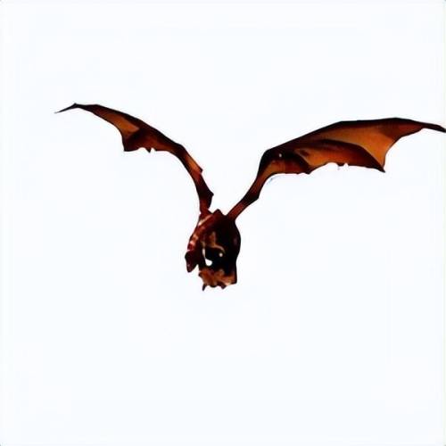 英雄红玉圣殿(赛尔号英雄圣殿哪个最强)插图2 英雄红玉圣殿(赛尔号英雄圣殿哪个最强)插图2