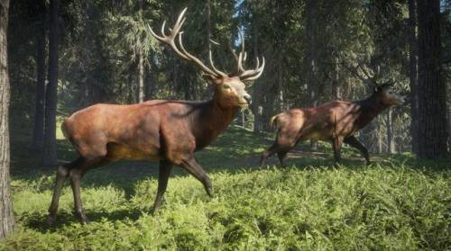 打猎游戏单机版(野外打猎的手机游戏)插图6 打猎游戏单机版(野外打猎的手机游戏)插图6