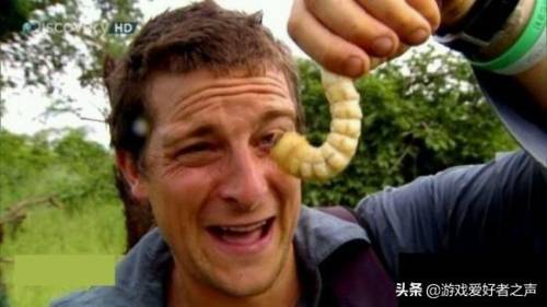 白蜘蛛肉烹饪图纸(白色长腿蜘蛛)