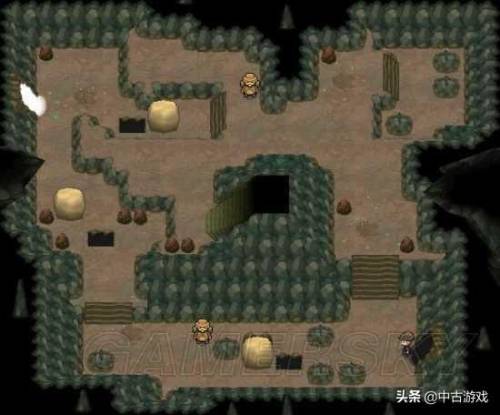 口袋妖怪黑白全地图(精灵宝可梦黑白图文攻略)插图74
