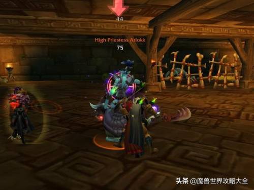 祖尔格拉布有几个任务(祖格有什么任务可以做)插图12