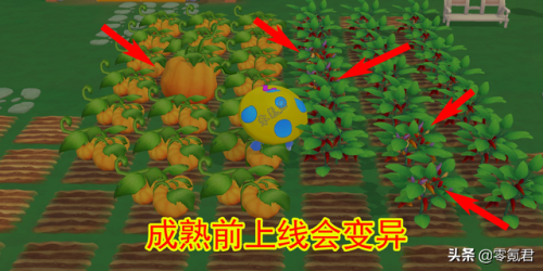 摩尔庄园变异植物攻略(摩尔庄园植物杂交变异活动结束时间)