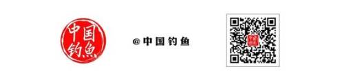 垂钓之王蓝马林(龙与工坊草根钓王)插图9
