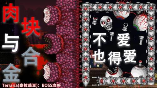 dnf关于泰拉石合金任务(dnf友情之红宝石碎片怎么合成)插图