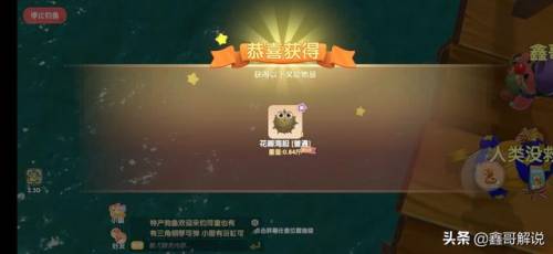 奇异毛毛豆怎么做(现在的毛豆怎么没有毛)插图23