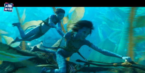 《阿凡达2》预告曝光(阿凡达2电影什么时候上映)插图62