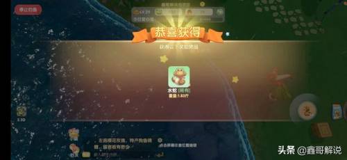 奇异毛毛豆怎么做(现在的毛豆怎么没有毛)插图6
