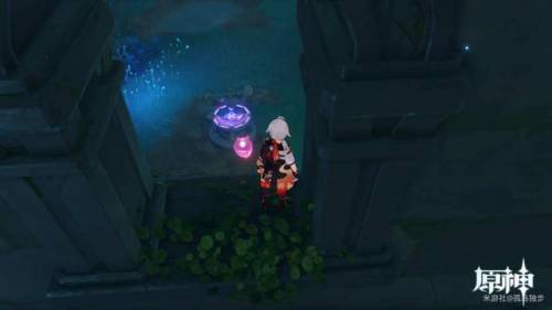 水月池解密继电石放置位置(水月池能充电的石头干嘛的)插图9 水月池解密继电石放置位置(水月池能充电的石头干嘛的)插图9