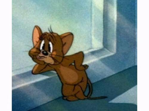 魔兽世界考古学训练师位置(wow考古学所有奖励大全)