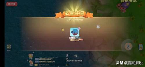 奇异毛毛豆怎么做(现在的毛豆怎么没有毛)插图34
