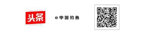 垂钓之王蓝马林(龙与工坊草根钓王)插图11