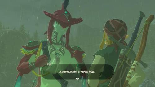 塞尔达传说灵魂轨迹攻略(塞尔达灵魂轨迹海洋很震撼)插图6