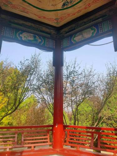 海山怎么去(进海山需要什么条件)插图1