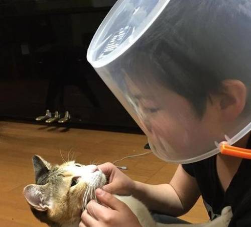 喵星人大作战(猫咪大战争官方正版)插图3