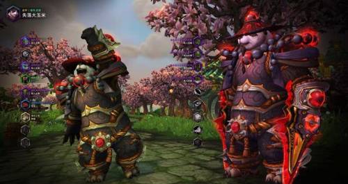 兽人盗贼最帅的幻化(盗贼全身纯黑色幻化)插图39