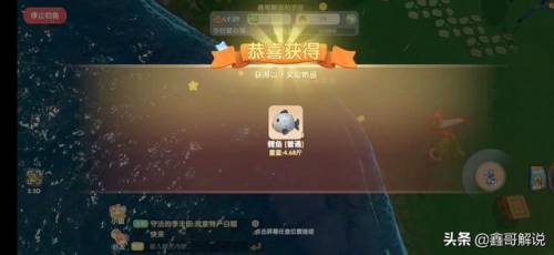 奇异毛毛豆怎么做(现在的毛豆怎么没有毛)插图9