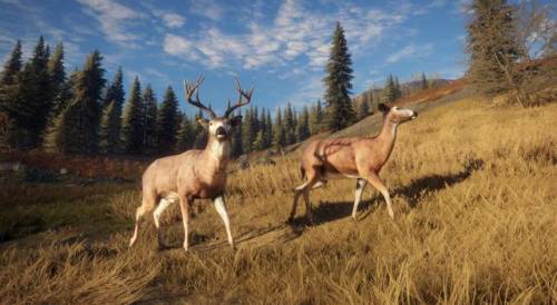 打猎游戏单机版(野外打猎的手机游戏)插图 打猎游戏单机版(野外打猎的手机游戏)插图