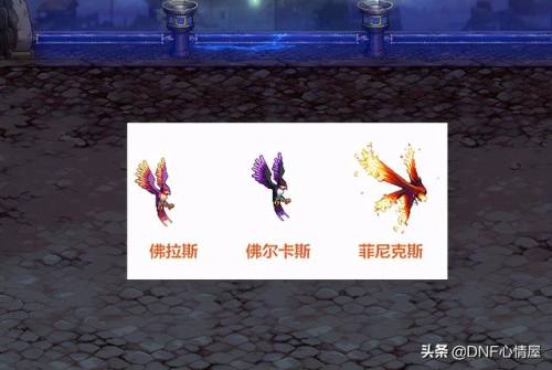 dnf会进化的宠物有哪些(奥兰奶奶的四个宠物)插图