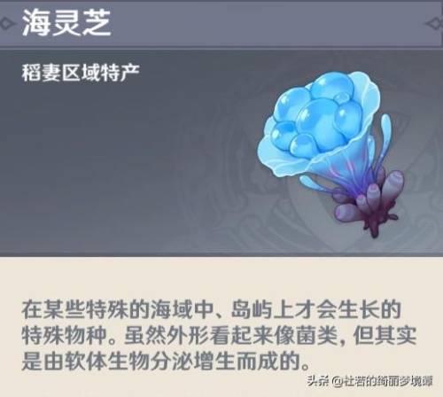 原神海灵芝在哪买(原神萌新怎么得海灵芝)插图 原神海灵芝在哪买(原神萌新怎么得海灵芝)插图