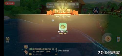 奇异毛毛豆怎么做(现在的毛豆怎么没有毛)插图