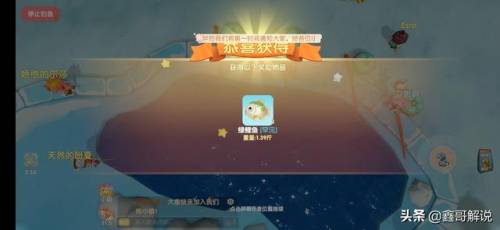 奇异毛毛豆怎么做(现在的毛豆怎么没有毛)插图16