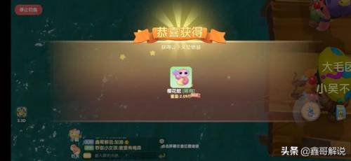 奇异毛毛豆怎么做(现在的毛豆怎么没有毛)插图24