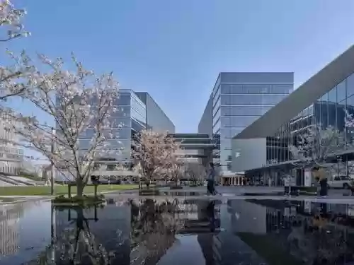 万科天空之城阵容搭配(深空之眼目前最强阵容)插图27