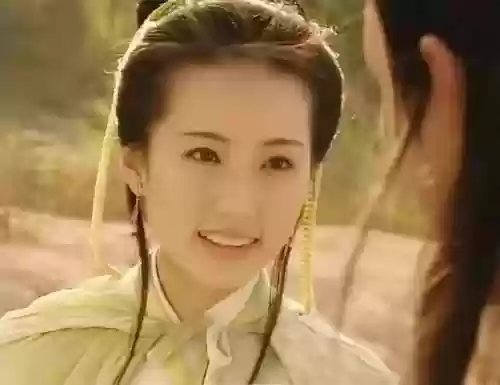 射雕郭襄阵容搭配图片高清(射雕英雄传之铁血丹心阵容推荐)插图14