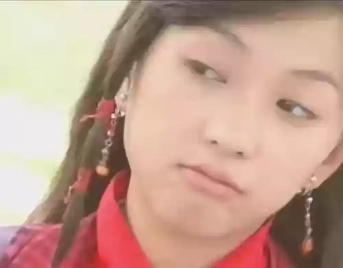 郭襄搭配什么阵容最强大(射雕群侠传平民后期阵容搭配)插图17