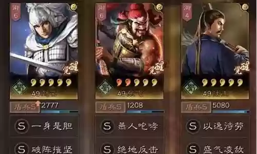 赵云法正阵容搭配