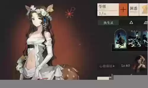 小鹿队友搭配阵容最新