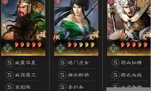 关羽赵云阵容最强搭配图插图