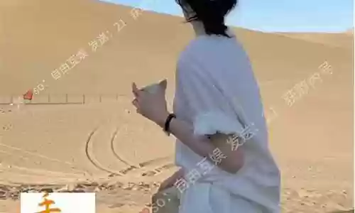 江湖群侠传最强阵容搭配插图