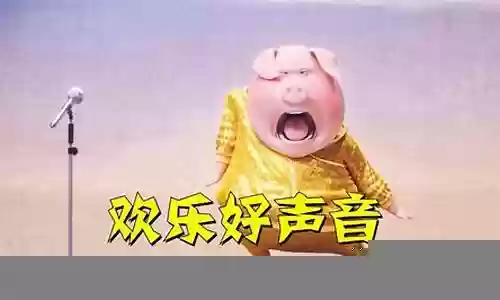 动物好声音阵容推荐插图