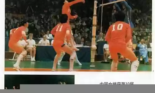 1980 中国女排阵容插图
