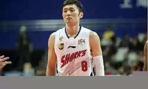 姚明最佳控卫阵容插图