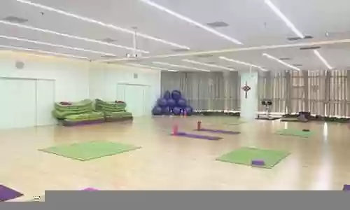 王者荣耀中辅阵容搭配