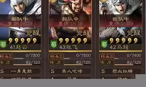 赵云超强阵容搭配图片大全