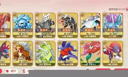 口袋版用什么阵容插图