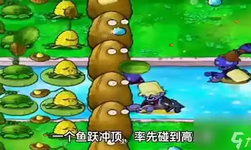 坚不可摧杨桃阵容
