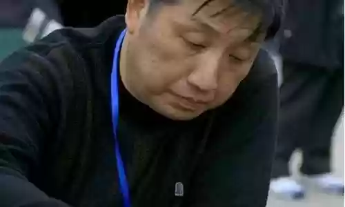 中国特级大师对弈阵容插图