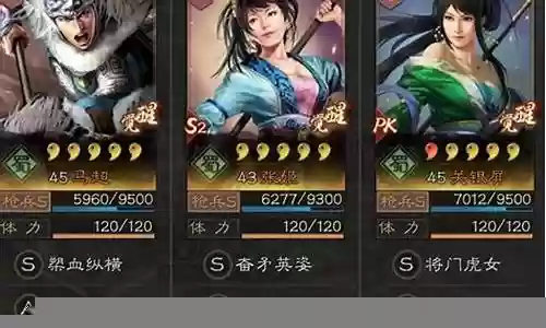 张姬最强阵容搭配图片大全