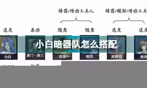 小白暗器队阵容搭配低配插图