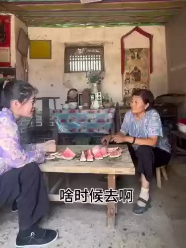 农村媳妇阵容插图1