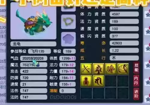 梦幻西游175血宠插图