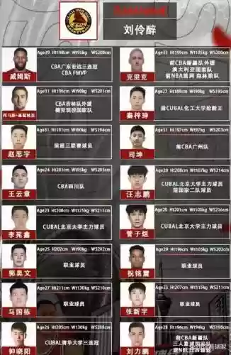 中国野球阵容插图1