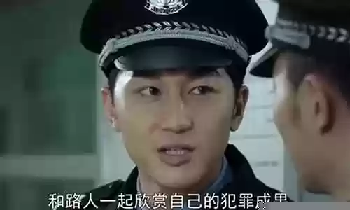 电视剧谋局阵容搭配插图