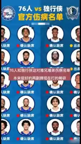 挺好阵容插图